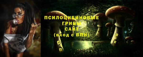 spice Лагань