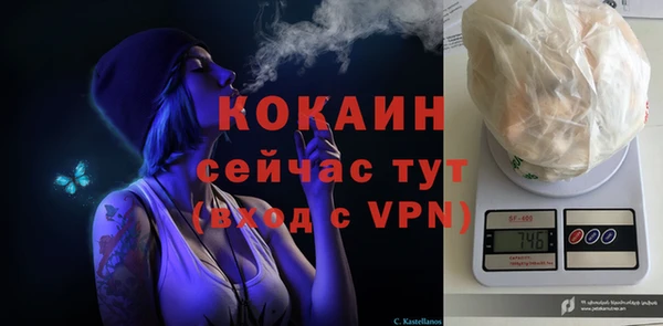 мдпв Куйбышев