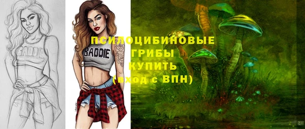 стафф Ладушкин